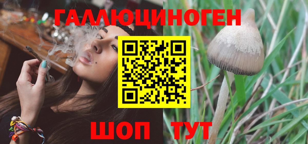 Псилоцибиновые грибы мицелий Рузаевка