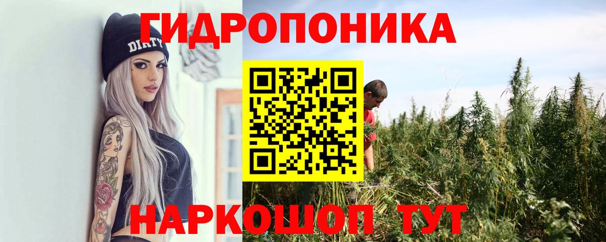 Марихуана Bruce Banner  Марихуана тримм  Вход с VPN  Каннабис планчик  Рузаевка 